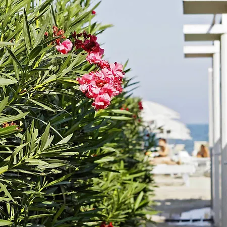 ホテル Bellettini ミラノ・マリッティマ