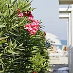Hotel Bellettini Milano Marittima